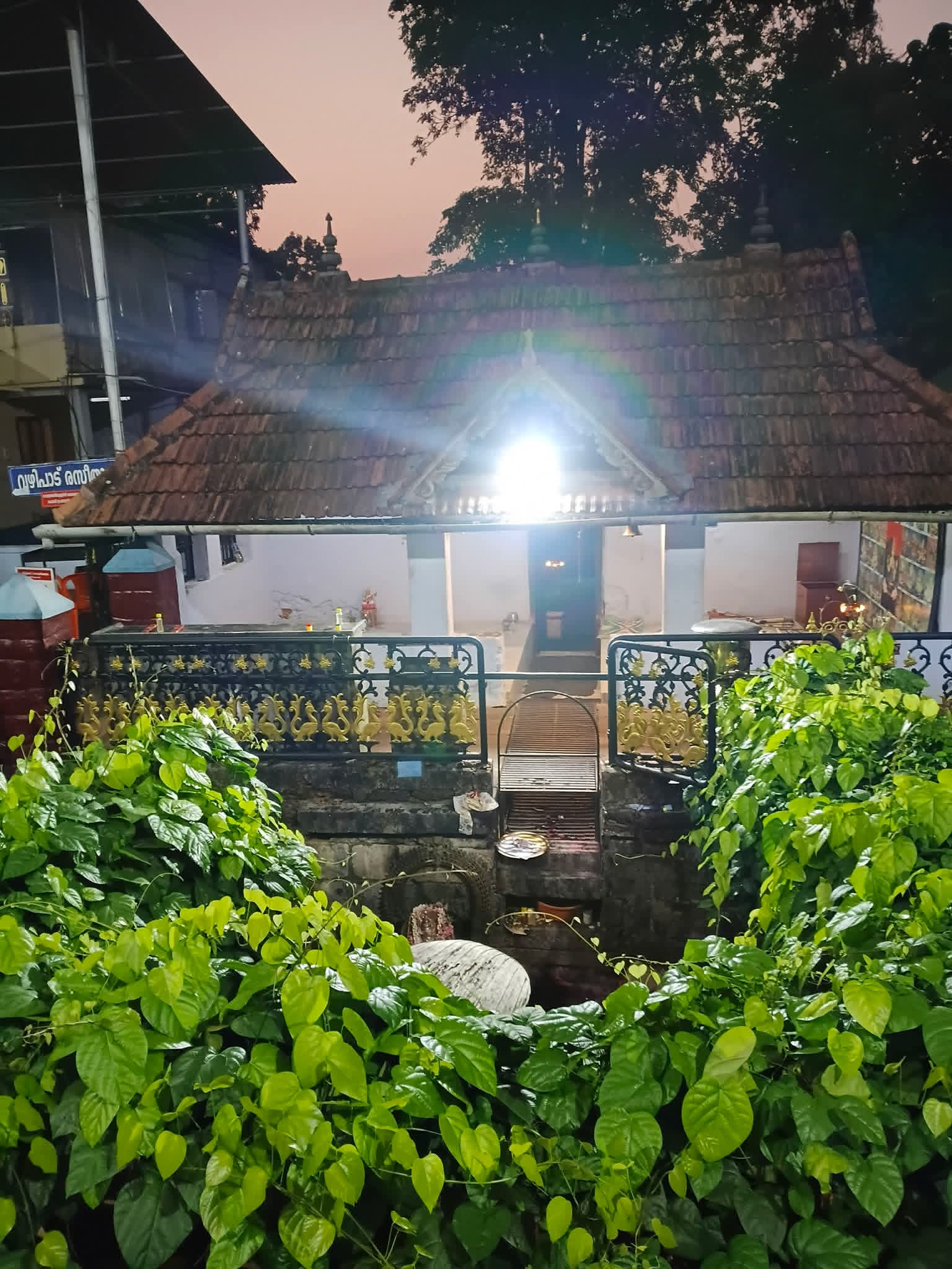 പനച്ചികാട് സരസ്വതി ക്ഷേത്രം
